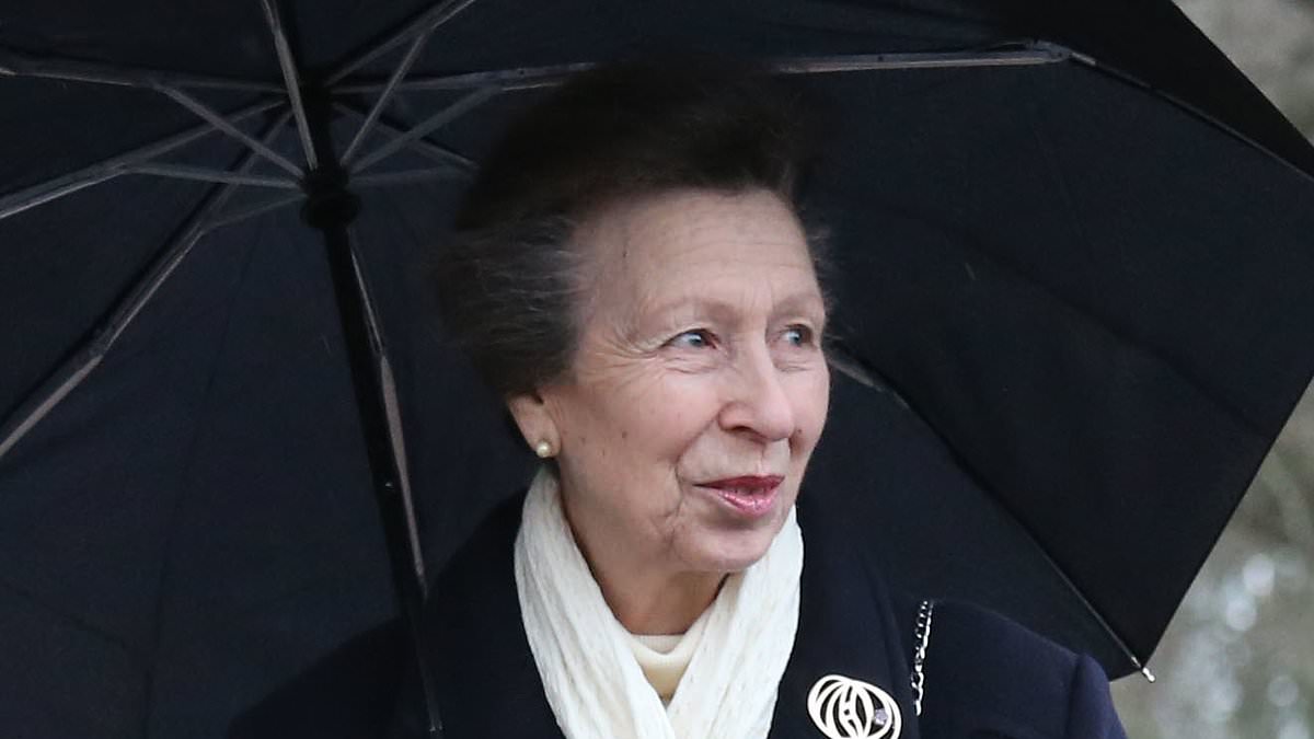 alert-–-it’s-business-as-usual-for-hardy-princess-anne:-king’s-sister-is-set-to-hand-out-honours-at-windsor-castle-before-travelling-to-the-midlands-for-royal-visit-after-learning-of-charles’-cancer-diagnosis