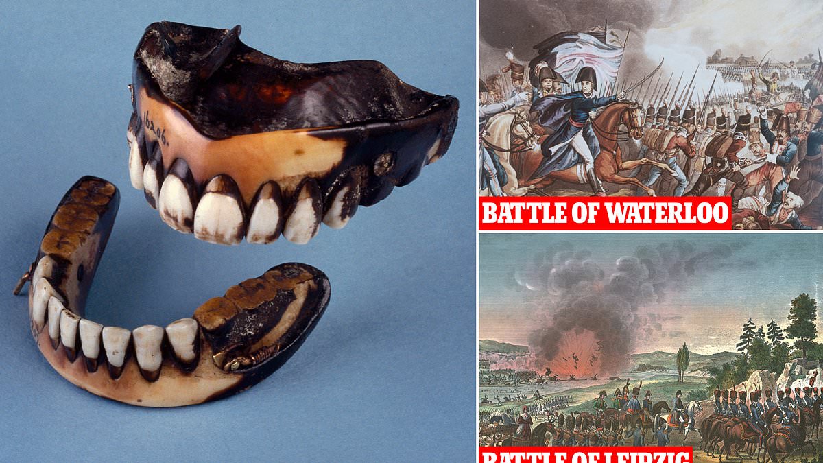 alert-–-how-they-solved-dentist-crisis-in-the-19th-century:-battlefields-were-plundered-for-dead-soldiers’-front-teeth-to-turn-into-dentures-as-late-as-the-1830s,-experts-say