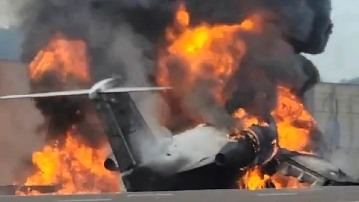 alert-–-two-dead-after-private-plane-crashes-into-cars-on-naples-highway:-pilot-of-jet-that-was-flying-from-ohio-to-fort-lauderdale-sent-mayday-warning-both-engines-were-‘out’-before-plummeting-into-traffic