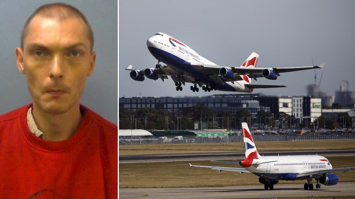alert-–-passenger-without-a-passport-or-plane-ticket-was-able-to-fly-from-heathrow-to-new-york-by-‘tailgating’-another-traveller…-and-he-is-still-on-the-run