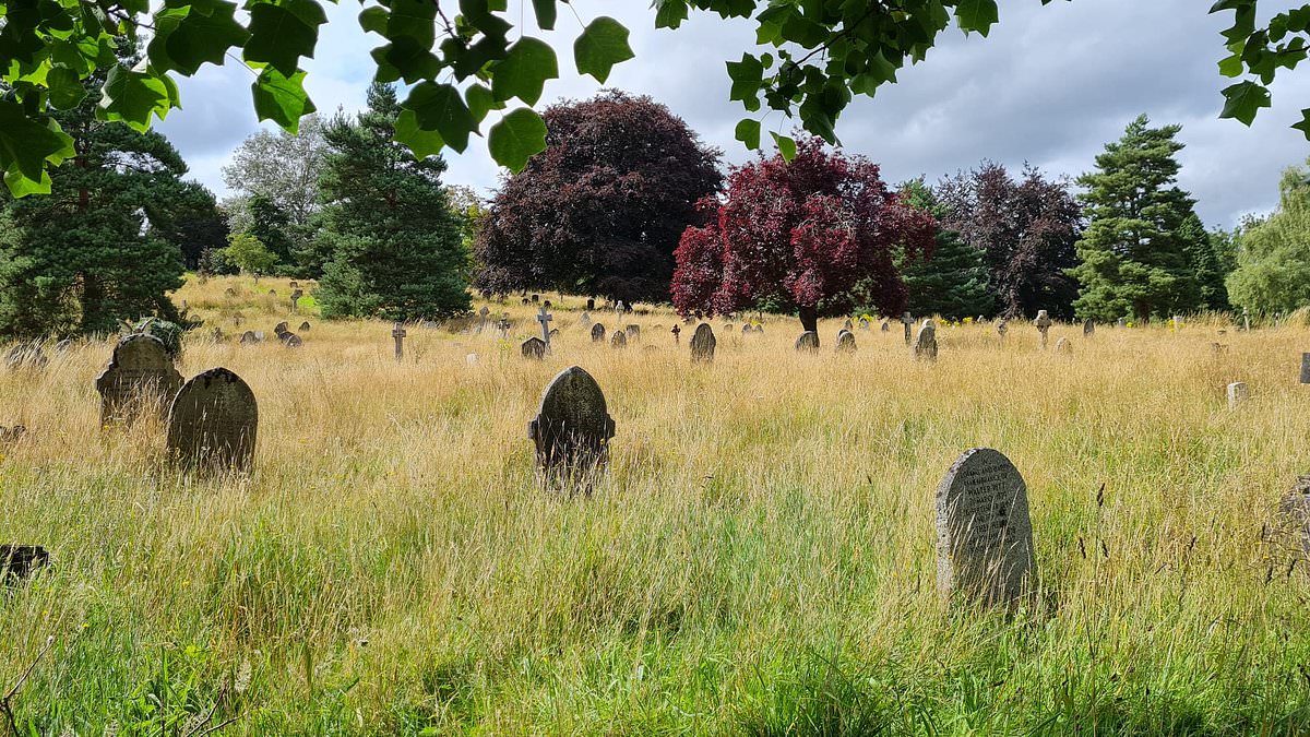 alert-–-calls-for-churchyards-to-become-‘places-of-the-living,-not-just-the-dead’-as-parishes-asked-to-allow-grass-and-wildflowers-grow-amongst-graves