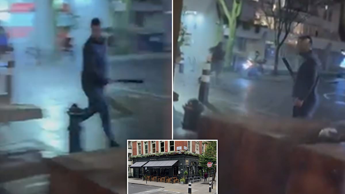 alert-–-manhunt-for-thugs-wielding-baseball-bats-who-attacked-a-man-outside-a-london-pub-in-terrifying-scenes