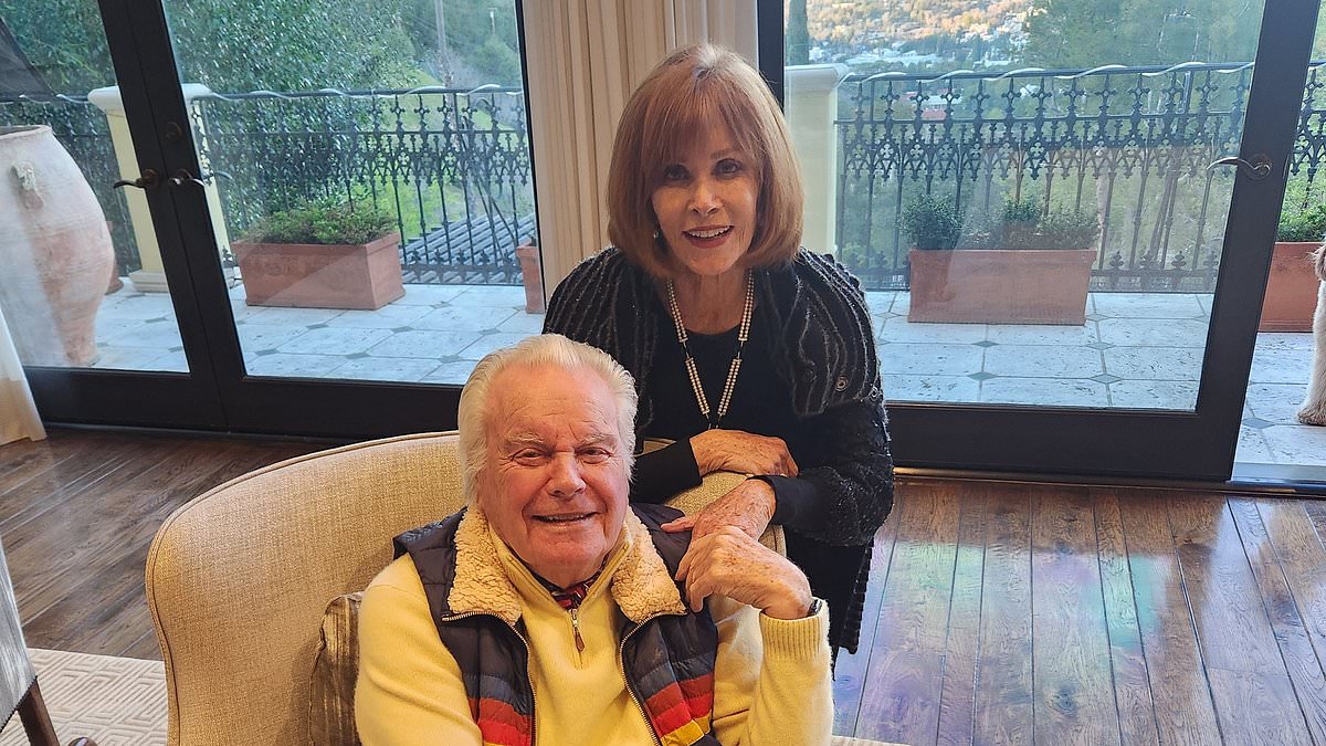 alert-–-hart-to-hart-reunion!-robert-wagner,-94,-and-stefanie-powers,-81,-are-seen-in-rare-image…-40-years-after-their-hit-series-went-off-the-air