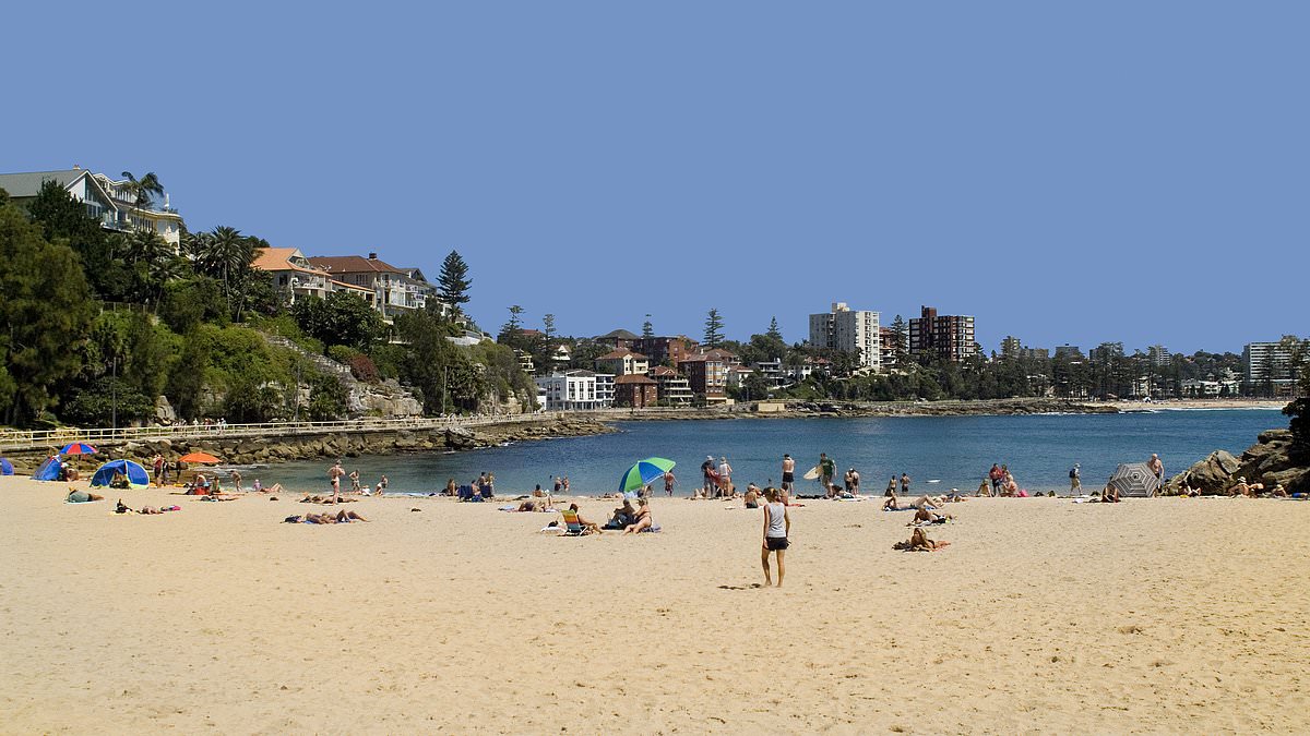 alert-–-shelly-beach:-scuba-diver-pulled-from-the-water-after-getting-into-trouble-at-snorkelling-hotspot-near-manly