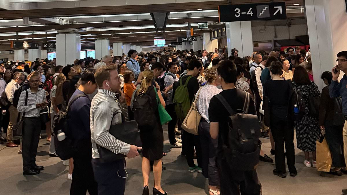 alert-–-sydney-trains:-commuter-chaos-after-death-at-busy-station,-bringing-the-entire-rail-network-to-a-standstill-during-peak-hour