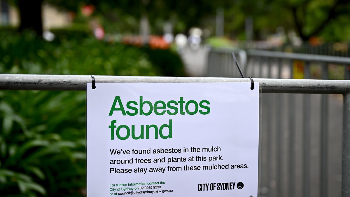 alert-–-bombshell-twist-in-sydney’s-asbestos-scare-after-hazardous-material-was-found-hiding-in-mulch-around-the-city