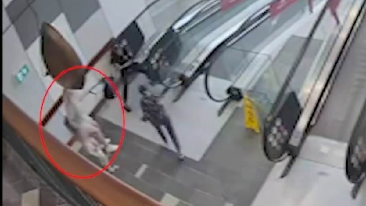 alert-–-gungahlin-marketplace:-watch-the-dramatic-moment-a-good-samaritan-leaps-into-action-to-stop-a-brazen-thief-who-allegedly-robbed-a-woman-at-shopping-centre-in-canberra