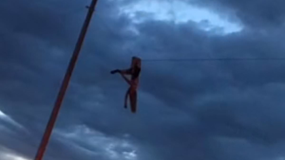 alert-–-idaho-teen,-19,-hung-by-her-broken-leg-on-power-line-for-an-hour-after-being-thrown-from-her-car-in-horror-crash