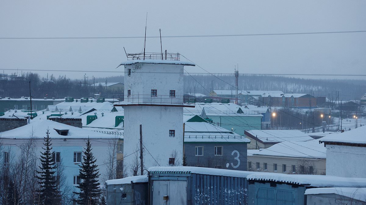 alert-–-inside-‘polar-wolf’-–-the-bone-chilling-arctic-jail-where-alexei-navalny-met-his-end.-1,085-of-russia’s-worst-criminals-are-tortured-with-electric-shocks,-beatings-and-confined-to-tiny-cells-with-just-a-hole-for-a-toilet