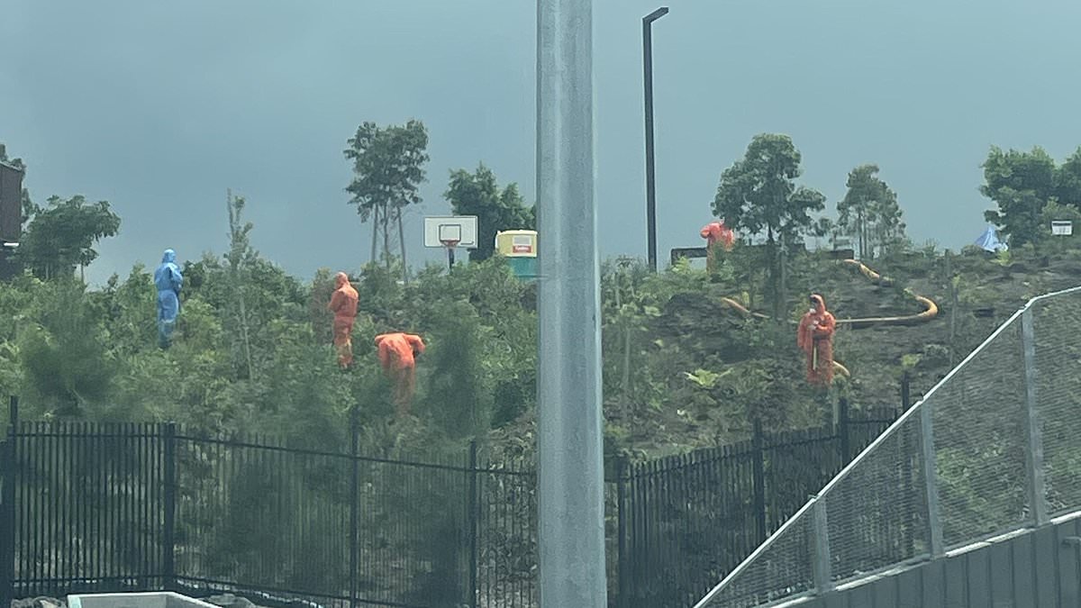 alert-–-sydney-asbestos-crisis:-single-image-causing-residents-covid-pandemic-flashbacks-as-city-deals-with-dangerous-mulch-in-parks