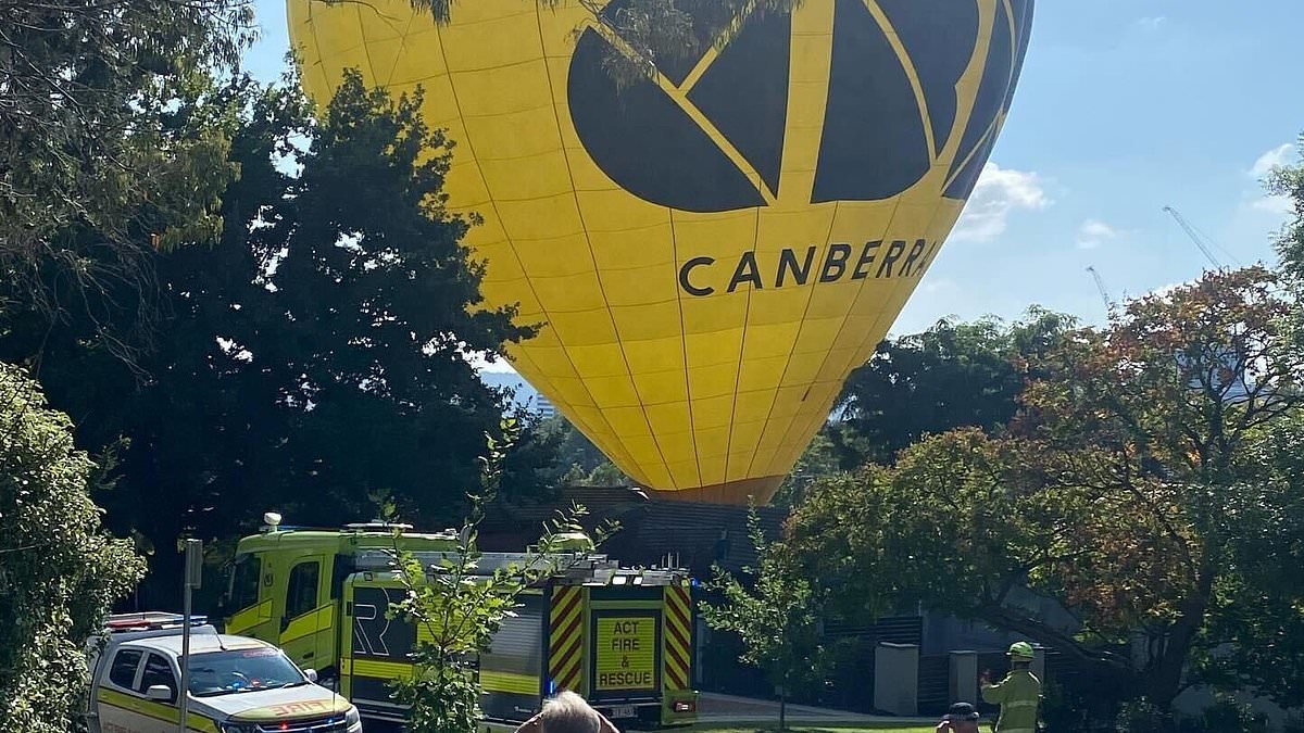 alert-–-residents’-shock-after-waking-up-to-discover-a-massive-hot-air-balloon-in-their-backyards