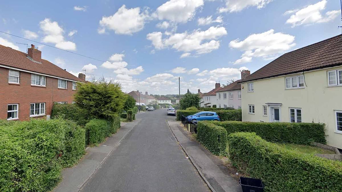 alert-–-woman-is-arrested-on-suspicion-of-murder-after-three-children-are-found-dead-at-bristol-home