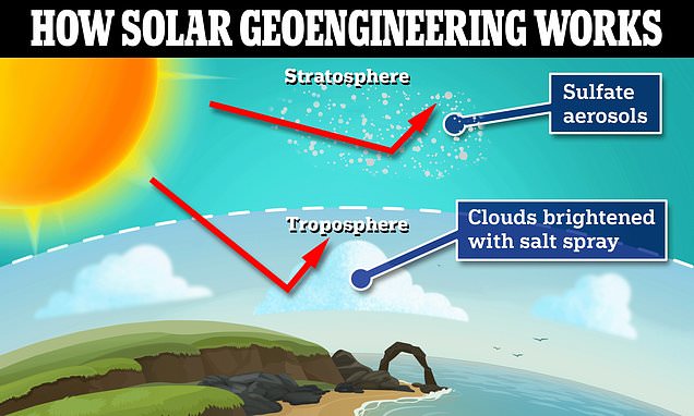 alert-–-six-cutting-edge-technologies-that-could-reverse-global-warming:-from-dumping-whale-poop-in-the-sea-to-engineering-clouds-to-block-out-sun