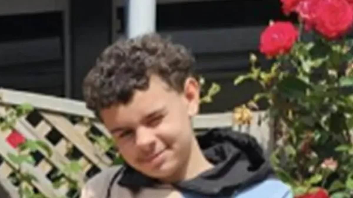 alert-–-two-boys,-15,-are-charged-with-murder-of-16-year-old-stabbed-to-death-in-bristol-park