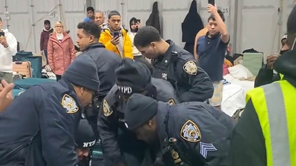 alert-–-migrants-brawl-with-cops-at-randall’s-island-shelter