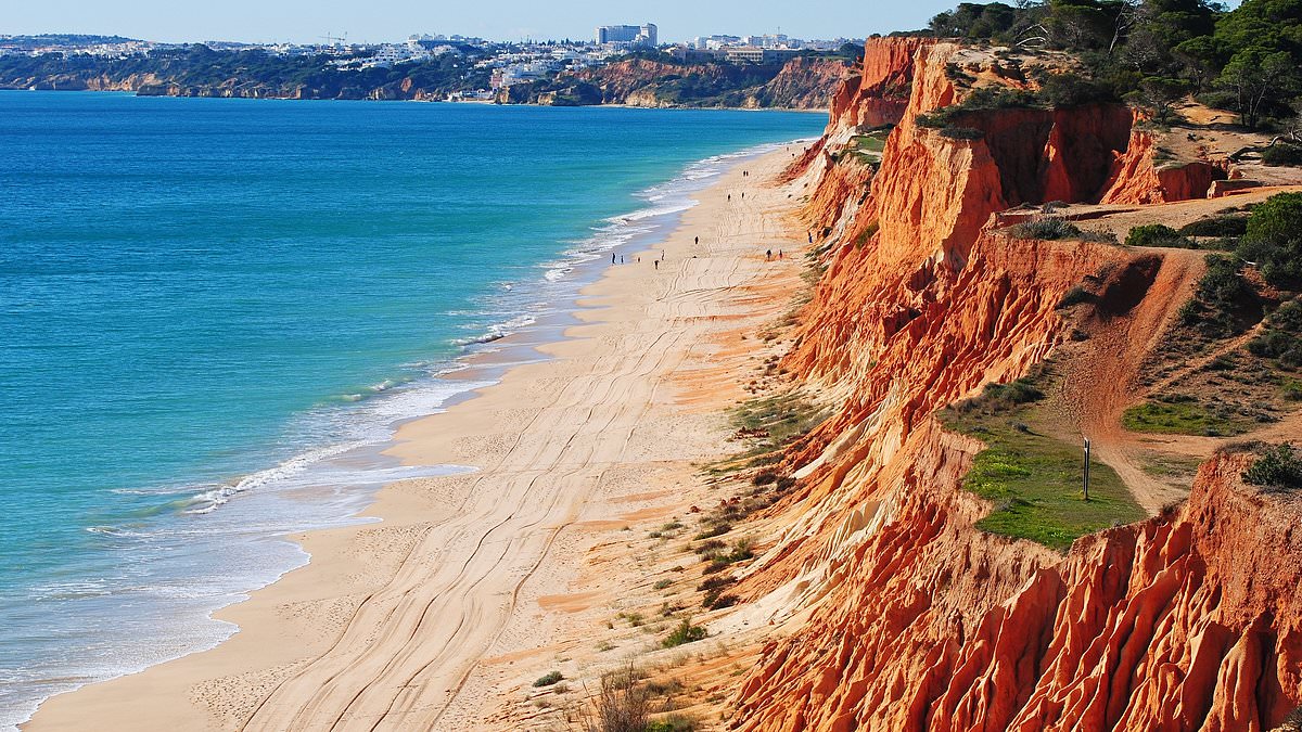 alert-–-the-best-beaches-in-the-world-for-2024-ranked-by-tripadvisor-–-with-portugal-home-to-the-winner,-australia-and-florida-making-the-top-10-and-a-dorset-beach-no.1-in-the-uk