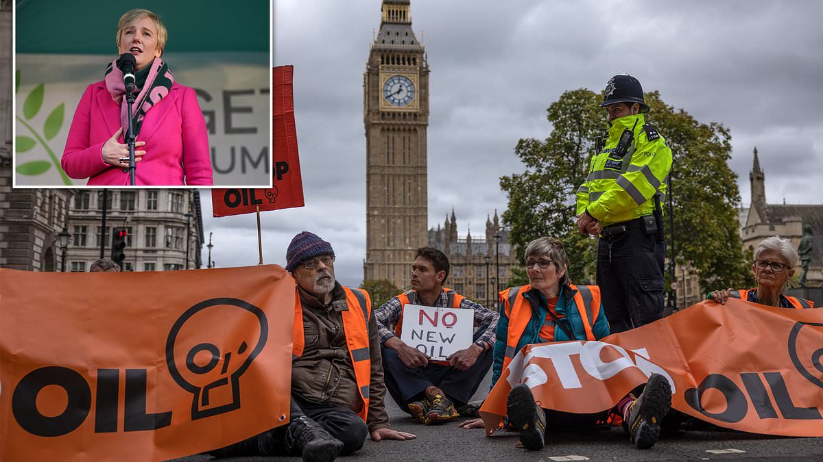 alert-–-‘where-does-this-end?’:-labour’s-stella-creasy-slams-call-by-just-stop-oil-for-eco-zealots-to-target-mps’-homes-as-she-warns-of-an-‘infection’-in-british-politics-and-says-the-country-is-heading-for-a-‘very-dark-place’