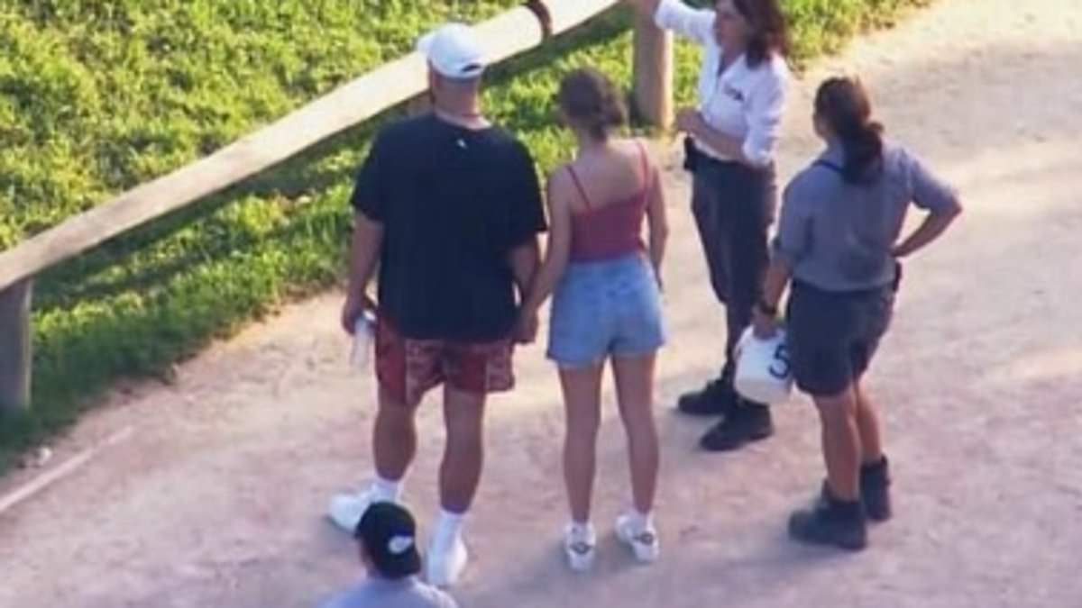 alert-–-taylor-swift-fans-claim-travis-kelce-‘manifested’-zoo-date-as-another-old-tweet-surfaces-about-how-much-he-loves-a-wildlife-park-–-six-years-to-the-day-from-sydney-visit-with-the-singer