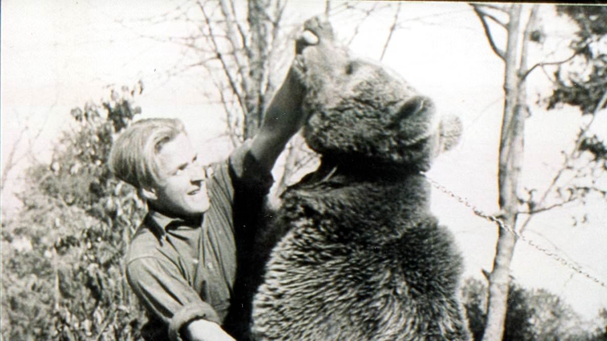 alert-–-meet-the-hard-drinking,-chain-smoking-bear-that-helped-smash-the-nazis