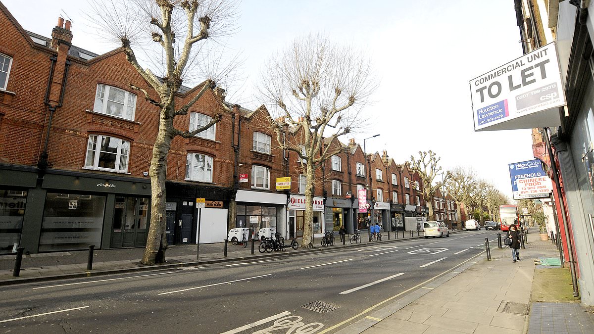 alert-–-no-wonder-the-retailers-on-this-london-road-–-once-a-favourite-haunt-of-nigella-–-are-in-despair.-how-draconian-low-traffic-neighbourhood-schemes-have-devastated-this-thriving-street