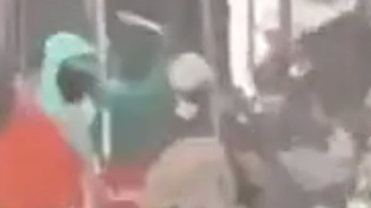 alert-–-terrifying-moment-machete-brawl-breaks-out-on-london-street-as-thugs-swing-blades-at-each-other-and-16-year-old-is-sliced-in-the-head-as-horrified-bus-passengers-scream-in-terror