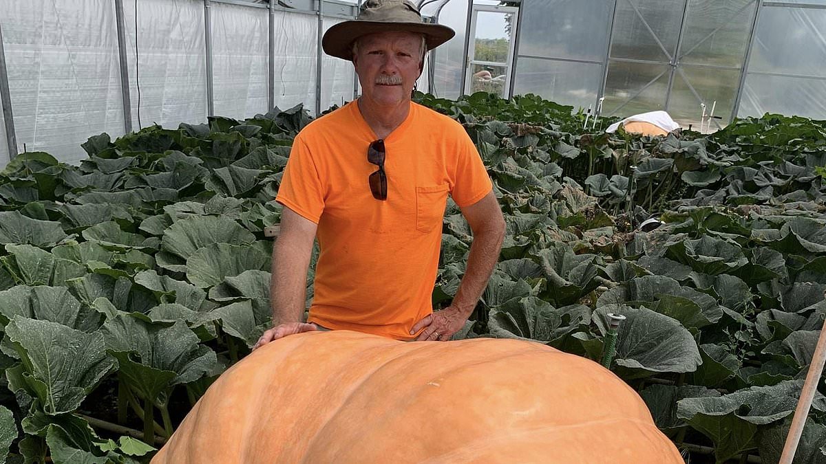 alert-–-jay-and-the-giant-pumpkin:-meet-wyoming’s-green-fingered-pumpkin-king-who-grows-gargantuan-veg-inside-his-85-degrees-greenhouse-–-and-occasionally-blows-them-up!