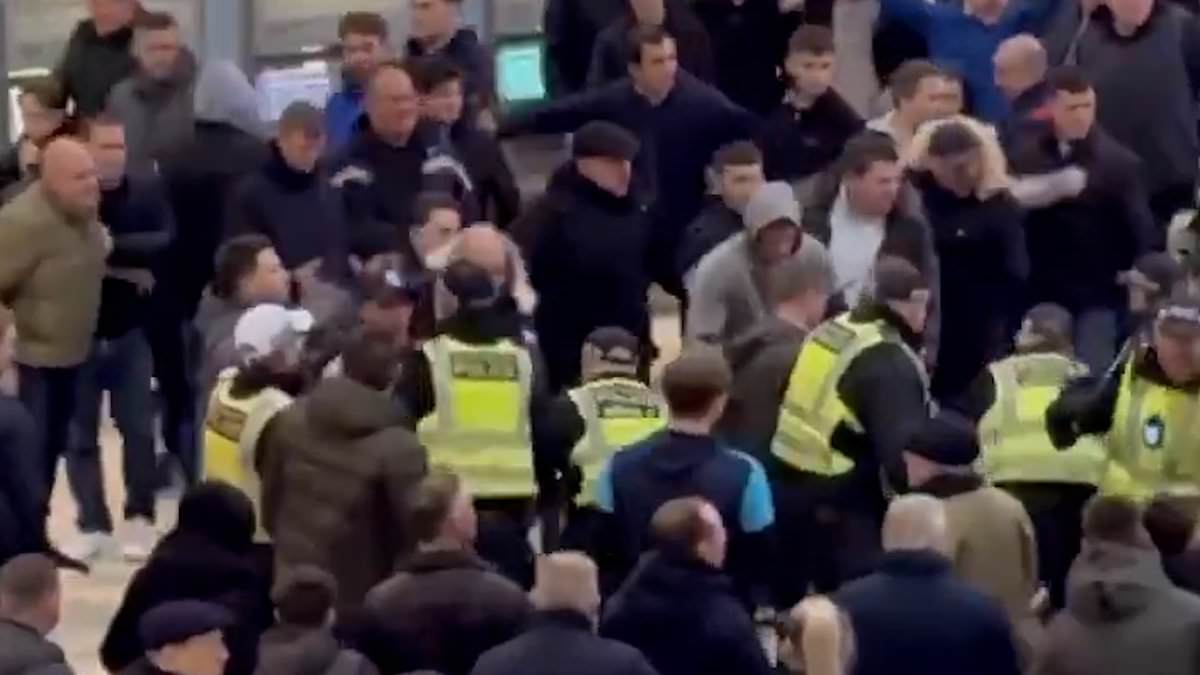 alert-–-shocking-moment-huge-brawl-breaks-out-at-london-waterloo-station-as-cops-are-caught-up-in-violent-clashes-in-terrifying-lawless-scenes