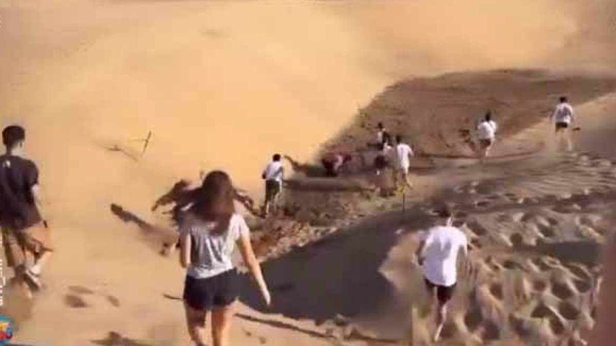 alert-–-outage-as-treasure-hunters-dig-up-protected-sand-dune-after-influencers-‘buried-a-thousand-euros-in-nature-reserve-and-told-followers-to-find-it’-in-gran-canaria