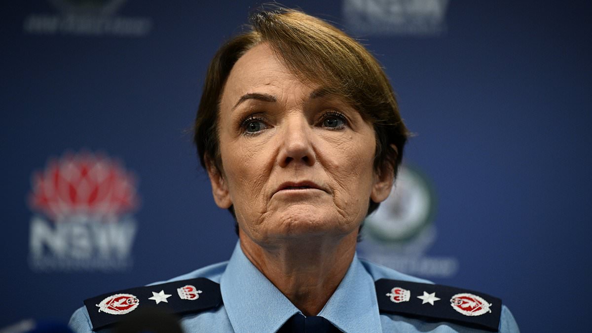 alert-–-jesse-baird,-luke-davies-deaths:-nsw-police-chief-karen-webb-comes-under-fire-after-thanking-alleged-double-murderer beau-lamarre-condon