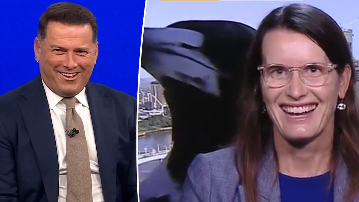 alert-–-hilarious-moment-a-giant-magpie-bizarrely-interrupts-live-interview-as-host-karl-stefanovic-jokingly-calls-for-‘a-big-gun’:-‘tell-me-you’re-in-australia-without-telling-me’