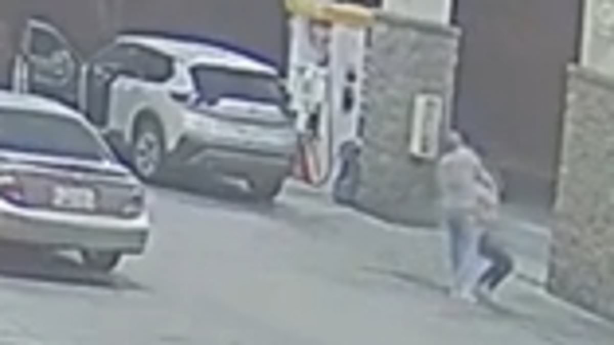 alert-–-horrifying-moment-arizona-woman-is-abducted-at-gas-station-by-man-who-drags-her-back-into-car-during-daring-escape-attempt