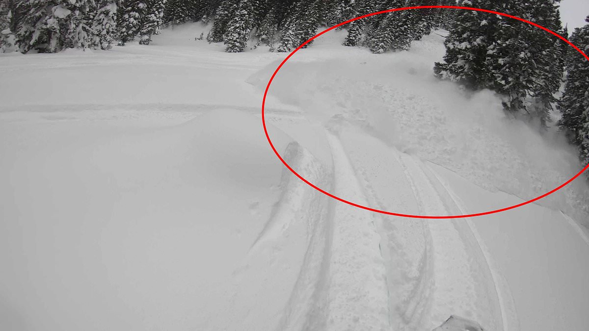 alert-–-terrifying-moment-snowmobiler-and-his-friend-are-swallowed-up-by-an-avalanche-while-desperately-trying-to-outrun-thundering-50mph-wall-of-snow-in-wyoming