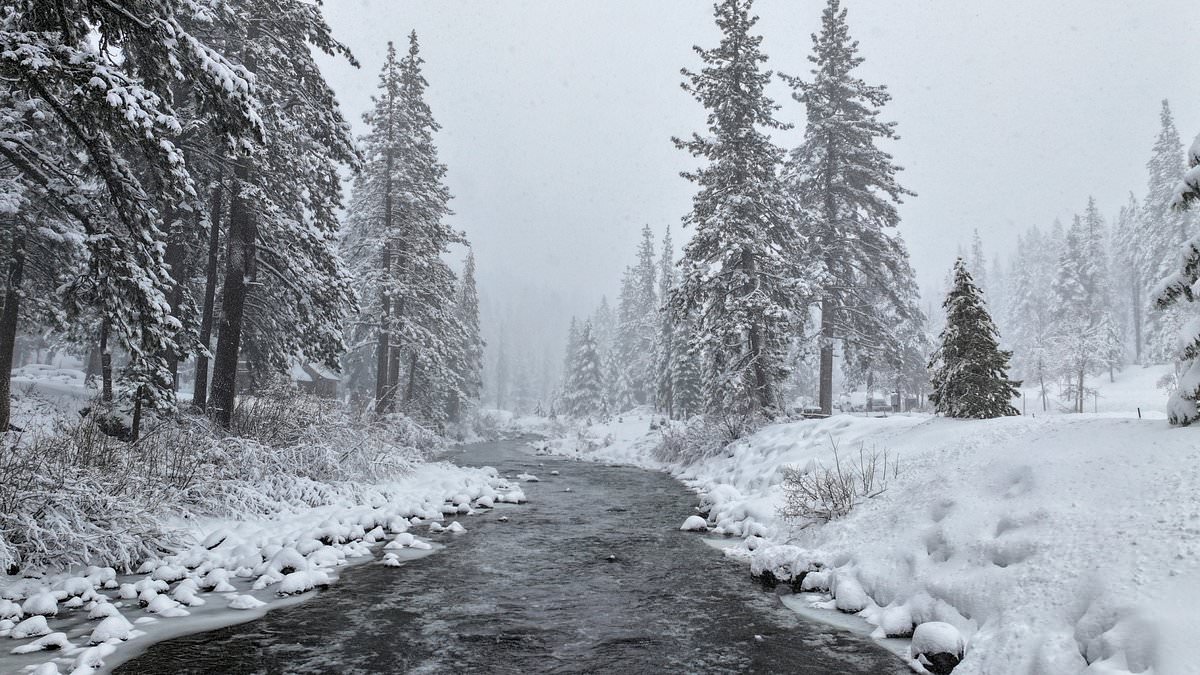 alert-–-california-and-nevada-are-battered-monster-‘life-threatening’-blizzard-with-145mph-winds-and-tornado-warnings-–-forcing-yosemite-and-lake-tahoe-ski-resorts-to-shut-amid-avalanche-fears