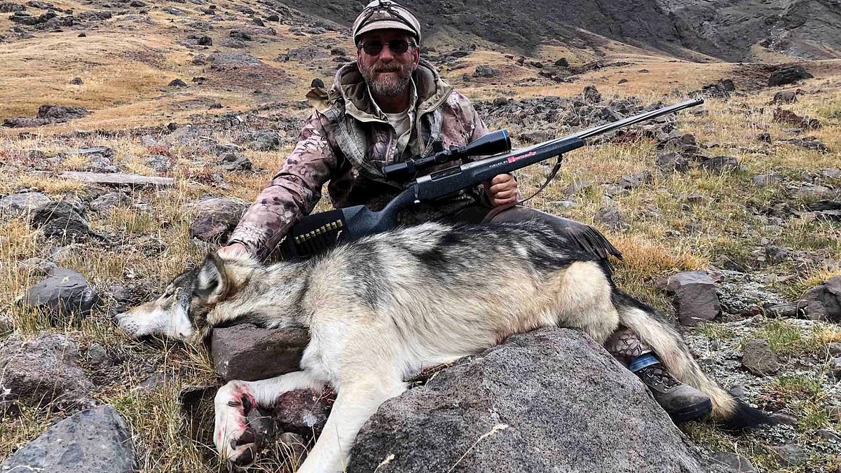 alert-–-wyoming-hunters-stand-guard-at-the-border-with-colorado-as-pack-of-recently-released-wolves-threaten-to-cross-state-lines-and-wreak-havoc-on-their-ranches