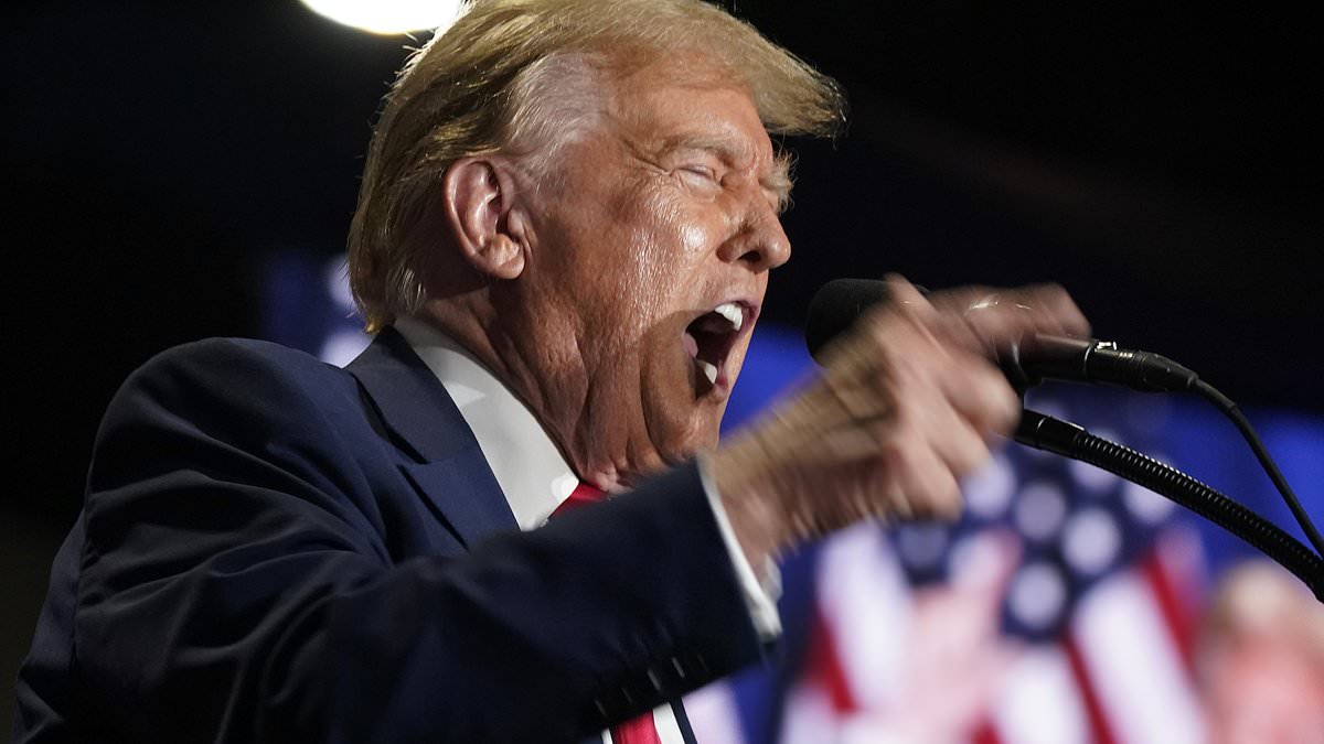 alert-–-donald-trump-claims-biden’s-border-policies-are-a-‘conspiracy-to-overthrow-the-united-states’-and-claims-democrats-want-to-‘spin’-migrants-up-to-have-them-vote-in-2024-in-fiery-virginia-rally-speech