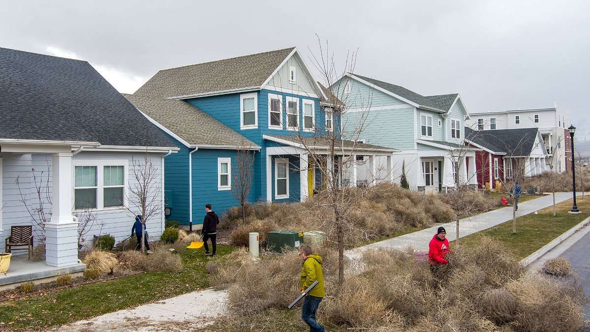 alert-–-tumbleweed-takes-over-utah-town-leaving-residents-buried-under-bushel-of-thorny-branches