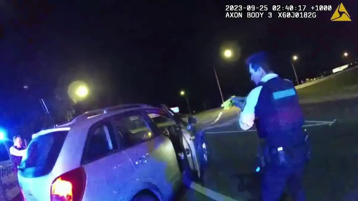 alert-–-wild-moment-driver-is-tasered-by-cops-in-‘stolen’-car-after-he-was-pulled-over-for-obstructed-number-plates