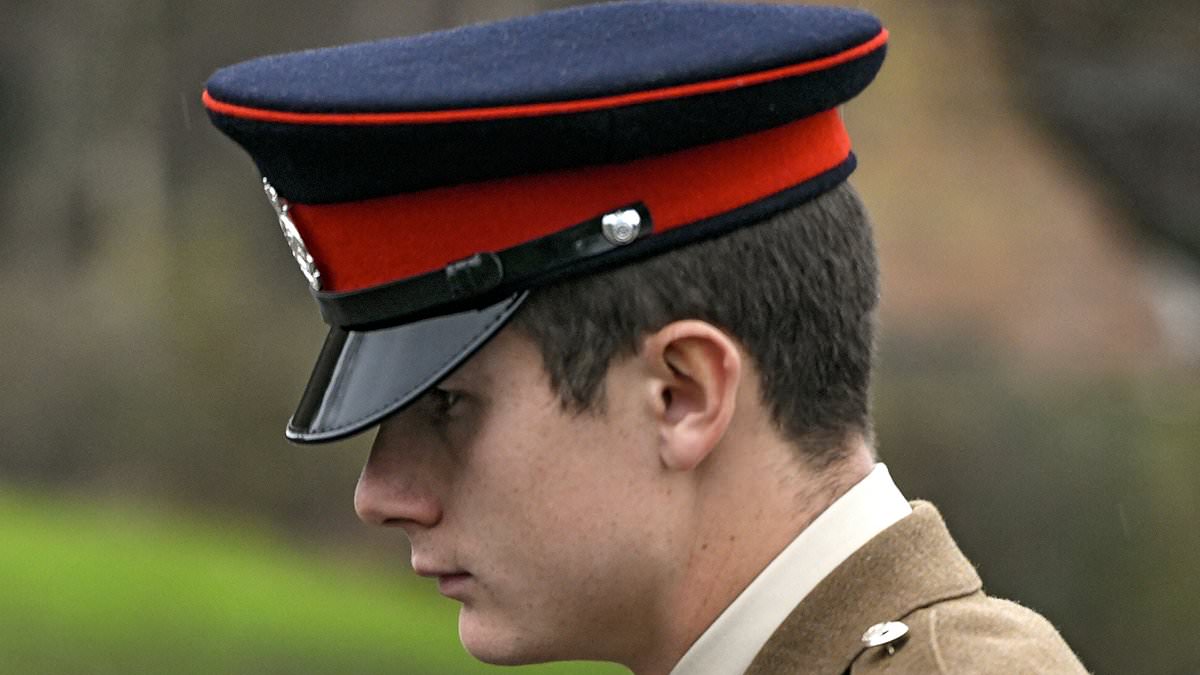 alert-–-trainee-army-officer-at-sandhurst-military-academy,-24,-raped-a-female-colleague-who-was-so-drunk-‘she-could-not-walk’,-court-told