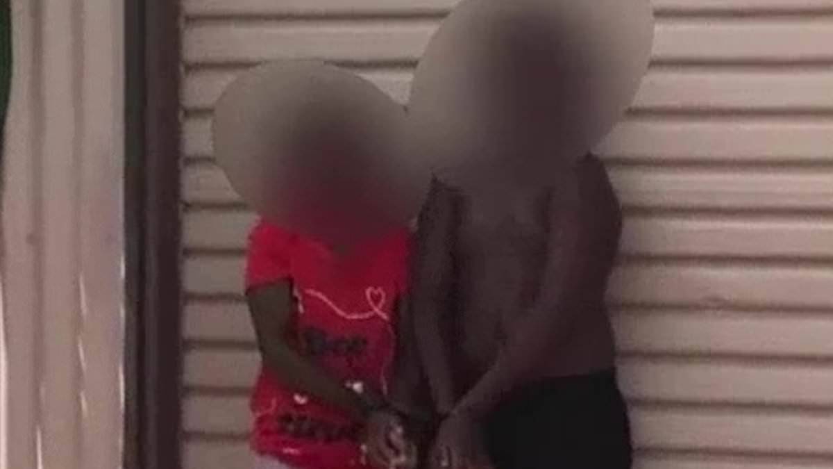 alert-–-facebook-livestream-shows-little-indigenous-girl-and-boy-restrained-with-cable-ties-outside-a-garage-door-in-broome-–-before-a-burly-white-tradie-is-arrested