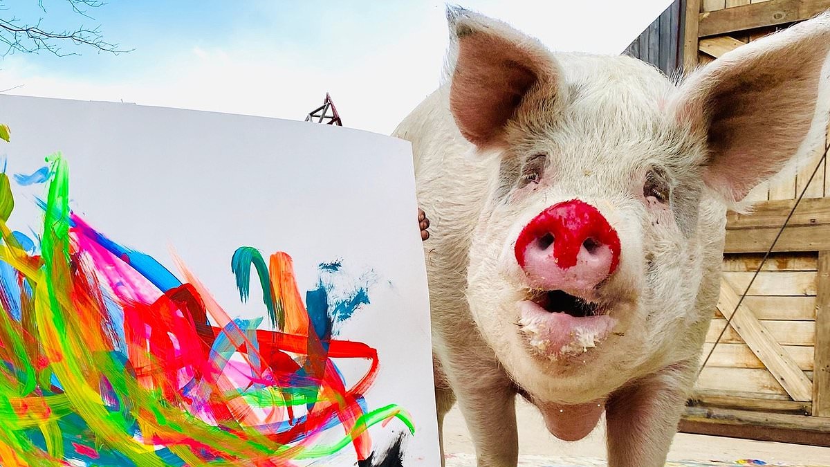 alert-–-farewell-to-pigcasso,-the-artist-who-really-brought-home-the-bacon:-‘extraordinary’-piggy-whose-lifetime-of-paintings-fetched-a-million-dollars-after-she-was-saved-from-the-slaughterhouse-dies-in-south-africa