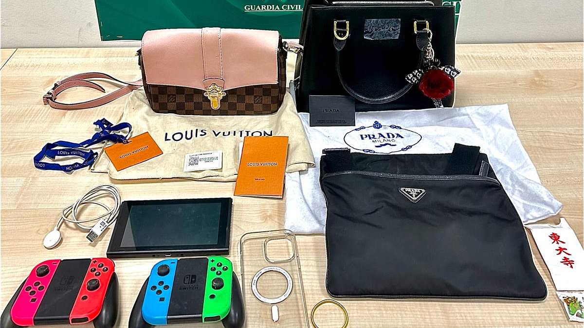 alert-–-spanish-cops-bust-‘criminal-gang-of-airport-workers-behind-theft-of-100,000-of-valuables-including-a-violin,-jewellery-and-cash-from-travellers’-suitcases’-after-operation-at-international-airport