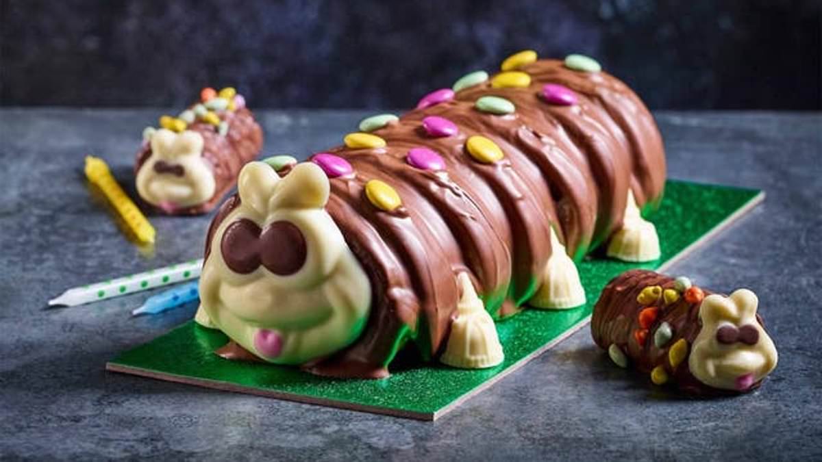 alert-–-battle-of-the-caterpillar-cakes!-we-asked-mailonline-readers-what-their-favourite-supermarket-version-was-–-and-you-voted-in-your-droves…-find-out-the-winner-here!