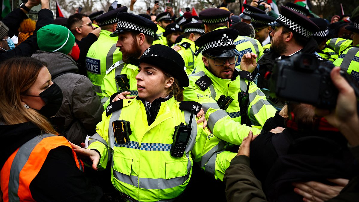 alert-–-pro-palestine-protests-have-cost-met-police-32.2-million-so-far-as-thousands-more-marchers-are-set-to-take-to-london-streets-this-weekend