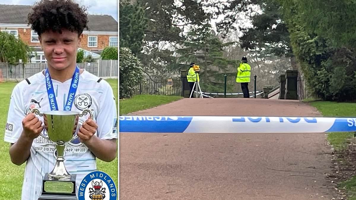 alert-–-pictured:-boy,-17,-who-was-stabbed-to-death-in-park-in-middle-of-the-afternoon