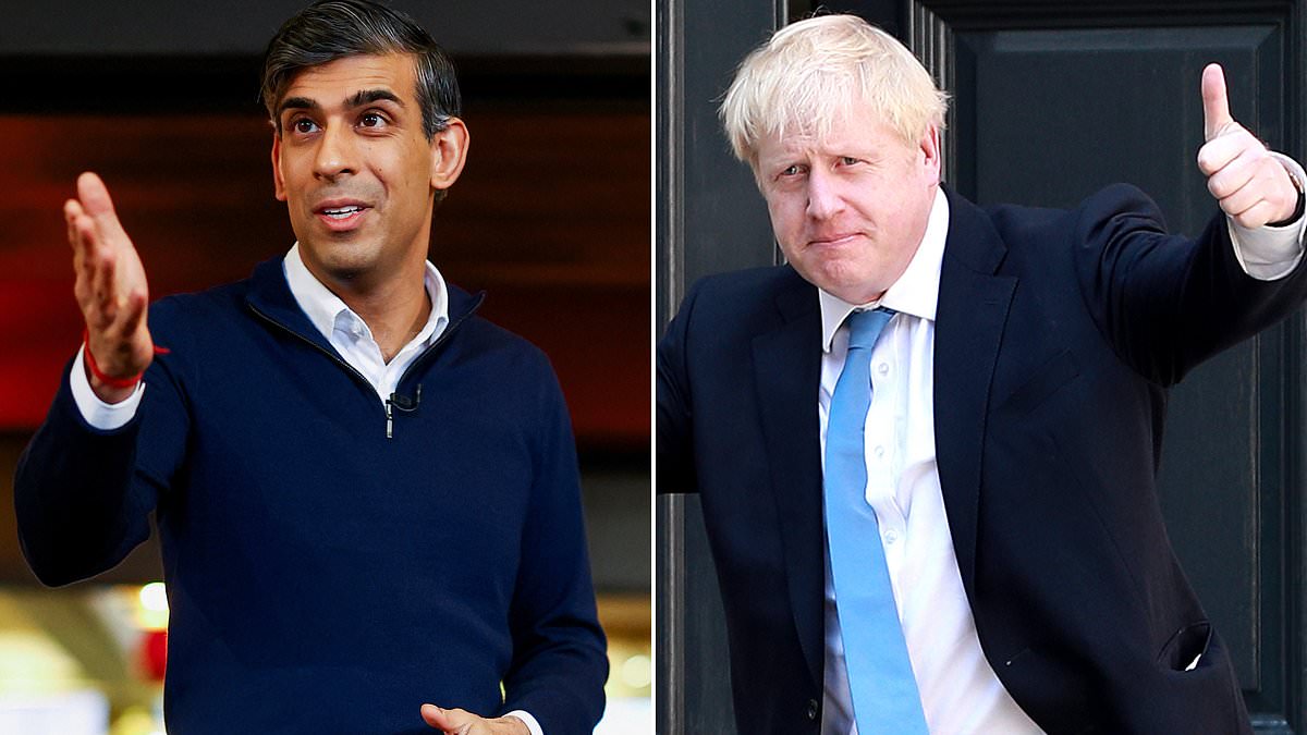 alert-–-tory-mps-in-new-plot-to-oust-rishi-sunak-as-prime-minister-–-and-they-want-boris-to-save-the-conservatives-from-a-catastrophic-defeat