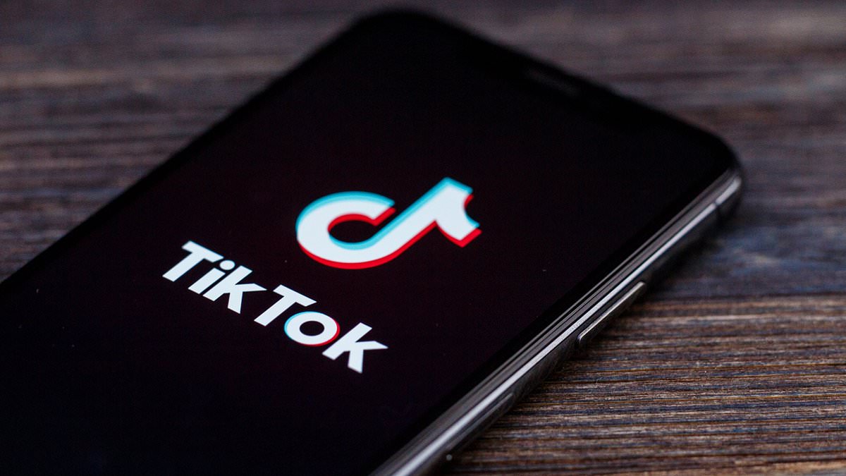 alert-–-tiktok-could-be-sold-for-‘hundreds-of-billions-of-dollars’-with-openai-and-former-activision-ceo-floated-as-potential-buyers-as-popular-social-media-app-faces-potential-ban-from-congress-over-chinese-influence