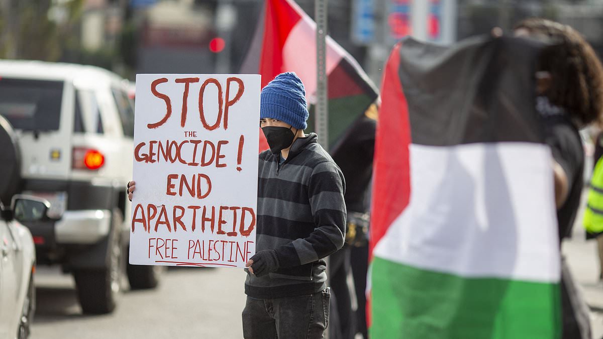 alert-–-pro-palestine-protestors-descend-on-oscars-waving-signs-and-flags-as-stars-arrive-for-red-carpet-as-ceremonies’-producers-prep-for-possible-show-disruptions