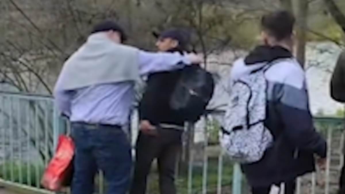 alert-–-moment-passerby-grabs-‘pickpocket’-by-the-collar-and-takes-a-swing-at-him-after-he-‘stole-his-wallet-then-dropped-it-on-the-floor-behind-him’-in-london-park