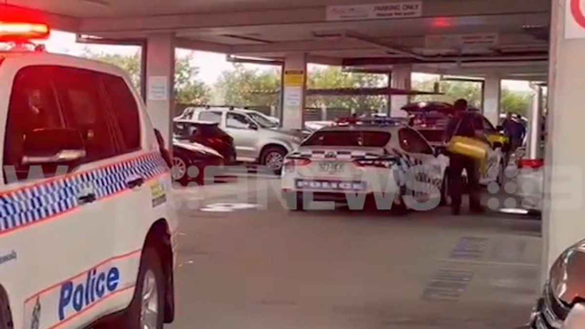 alert-–-hope-island-stabbing:-man-is-dragged-from-a-vehicle-and-killed-in-a-busy-gold-coast-carpark-–-as-cops-launch-major-manhunt-for-the-knifeman