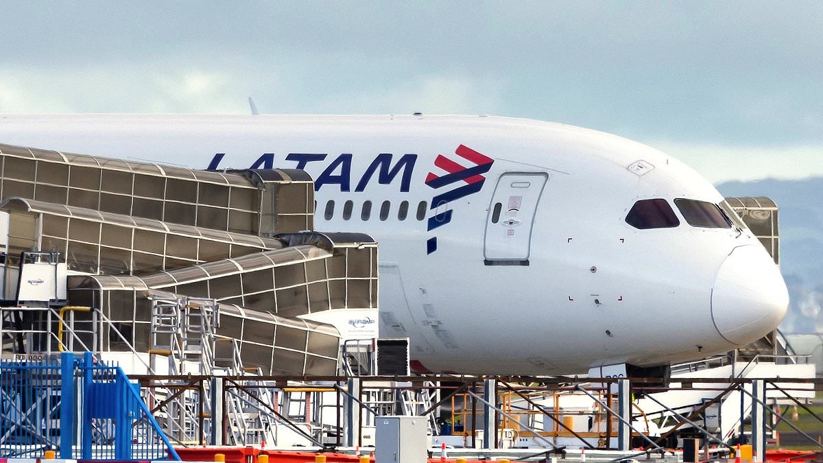 alert-–-latam-airlines:-passengers-who-cheated-death-were-offered-‘tiny-meal’-as-compensation-after-their-plane-suddenly-plunged-out-of-the-sky